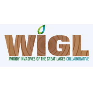 Woody Invasives Great Lakes