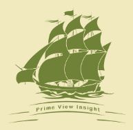 Prime View Insight