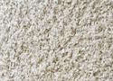 Rug cleaning near me 