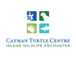 Cayman Turtle Centre