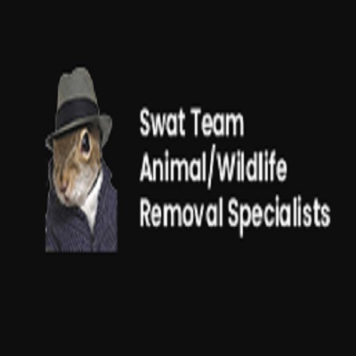 SWAT TEAM Animal Pest Control