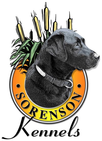 Sorenson Kennels