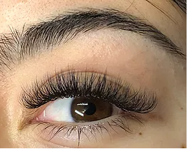 Ink Lash and Brow