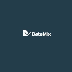 DATAMIX CO LTD