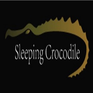 Sleeping Crocodile Inc.