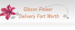 Same Day Flower Delivery Fort Worth TX - Send Flowers