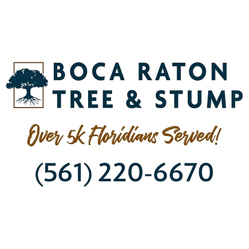 Boca Raton Tree and Stump