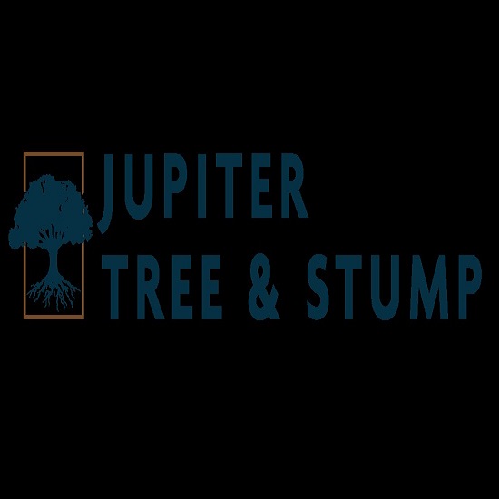 Jupiter Tree and Stump