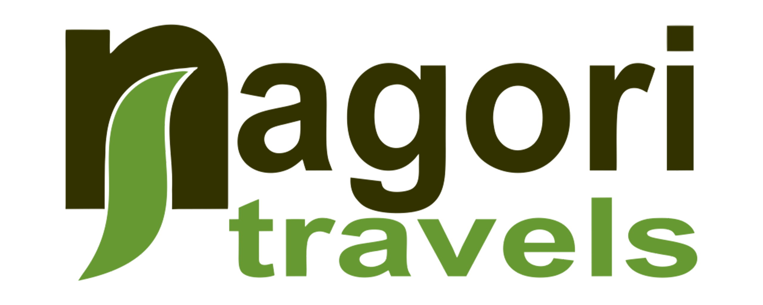 Nagori Travels