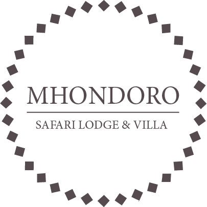 Mhondoro Safari Lodge & Villa