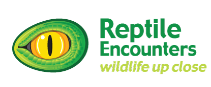 Reptile Encounters