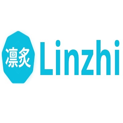Linzhi LTD