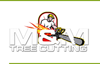 Tree Service Bronx - Cutting & Removal Company