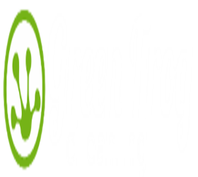 Green Frog Cleaning
