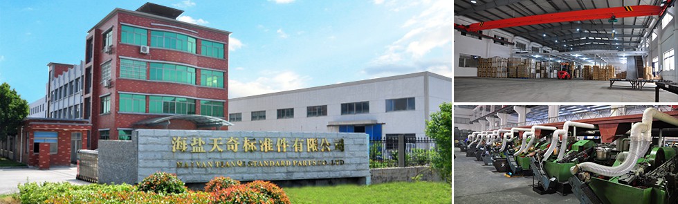 Haiyan Tianqi Fastener Co., Ltd