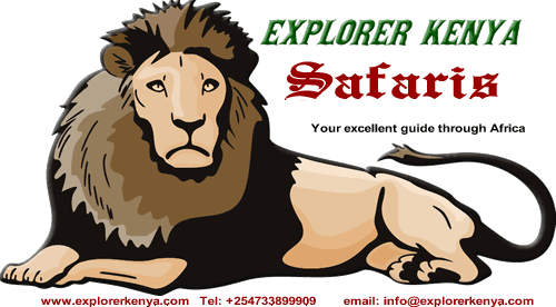 Explorer Kenya Safaris