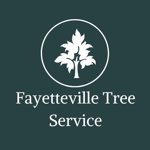 Fayetteville Tree Service
