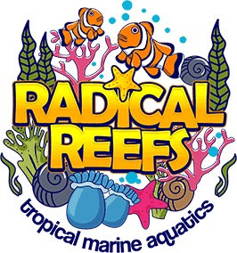 Radical Reefs Leeds Marine Superstore