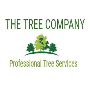 The Tree Company | Professional Tree Services North Shore Auckland