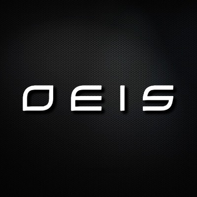 OEIS SECURITY AND INVESTIGATIONS