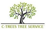 Pearland Tree Service Experts