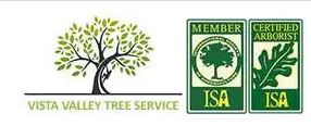 Escondido Tree Service Experts