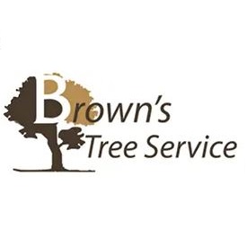 Arlington Tree Service Experts