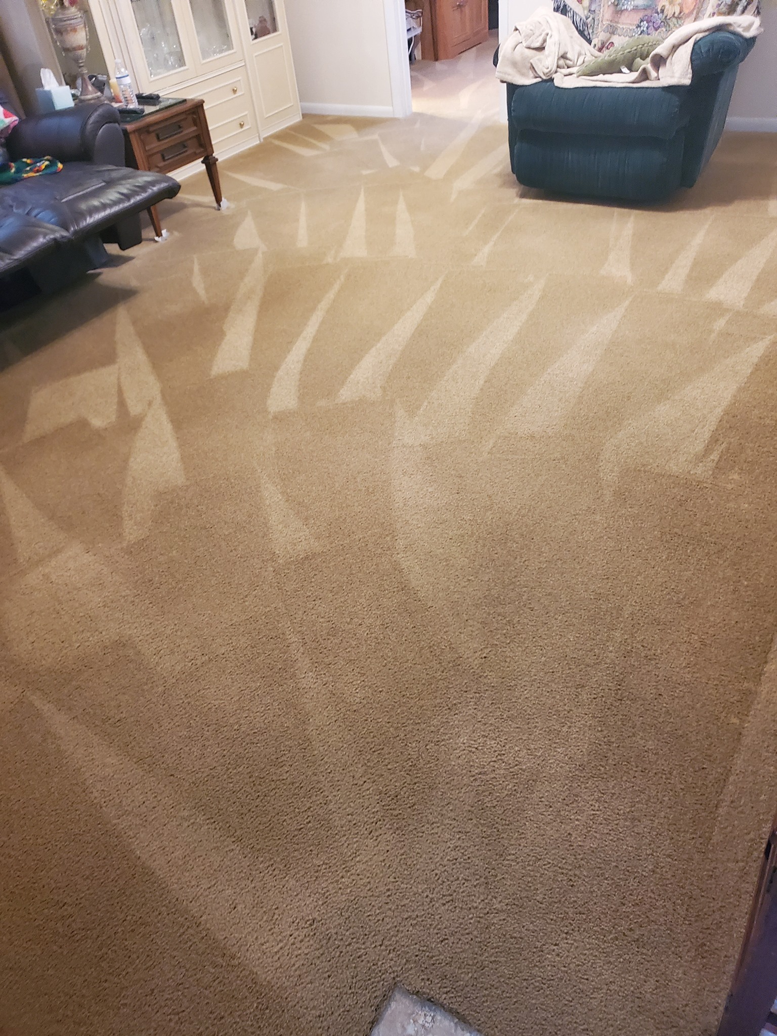 carpet cleaning in deltona fl