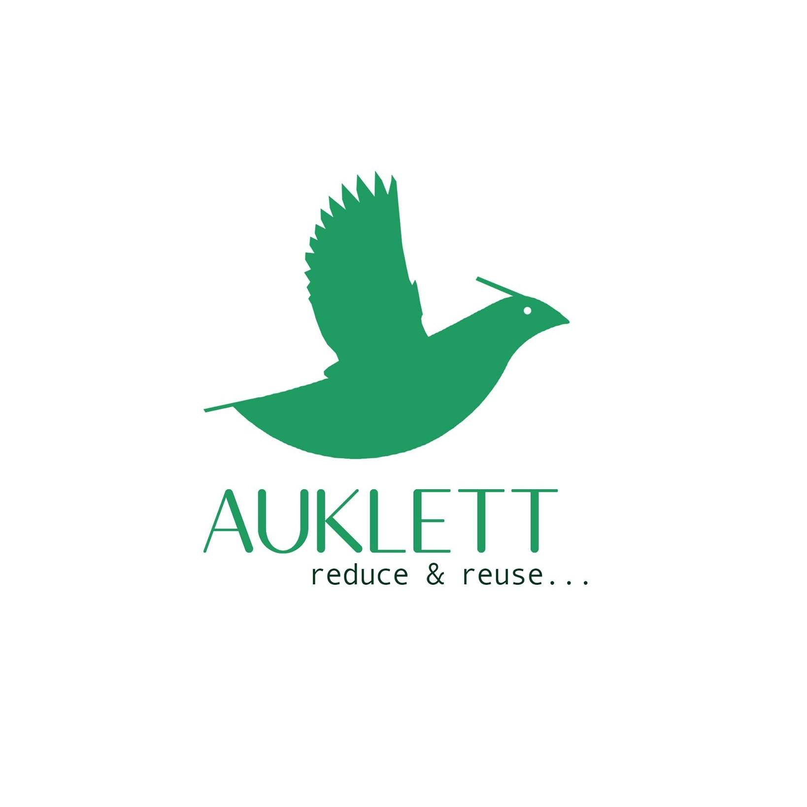 Auklett