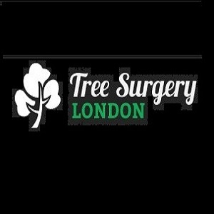 Tree Surgery London 