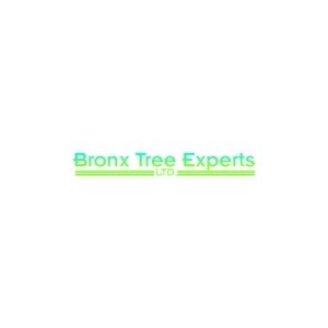 Bronx Tree Pro - Tree Removal, Cutting & Trimming Service