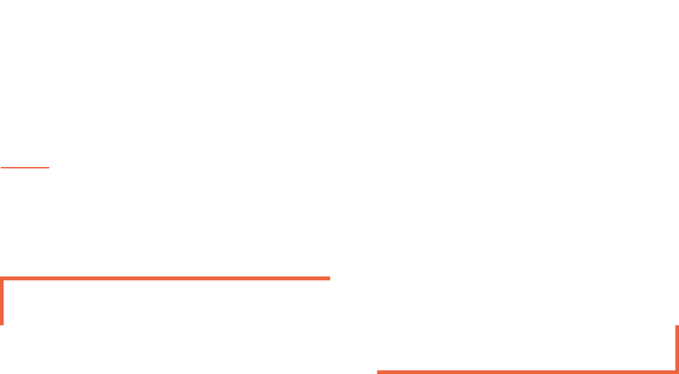 Briks Design