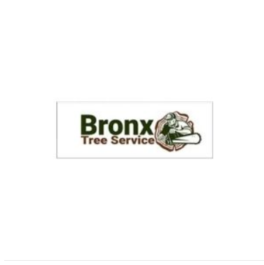 Eddie's Bronx Tree Removal Service