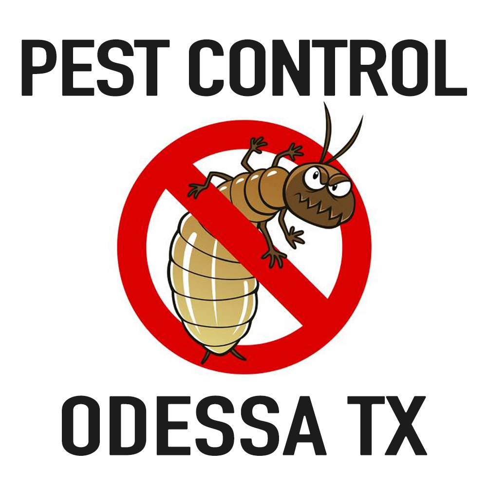 Pest Control Odessa