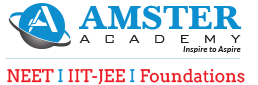 Amster Academy