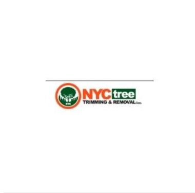 NYC Tree Trimming & Removal Corp