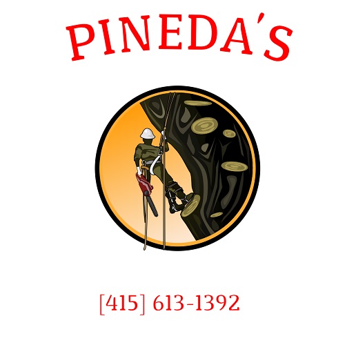 Pineda's Tree Service