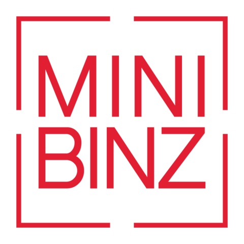 Mini Binz