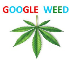 Google Weed Delivery