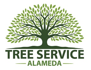 Tree Service Alameda