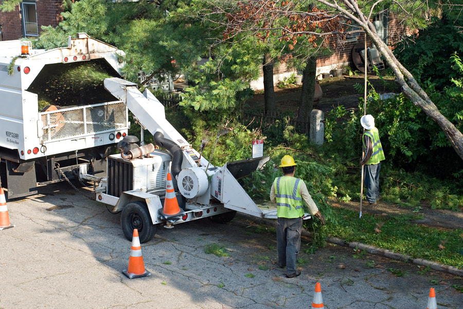Tree Removal Columbia