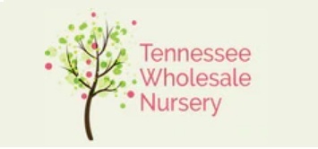 Tennessee Wholesale Nursery LLC