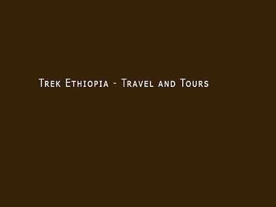 Trek Ethiopia Travel and Tours