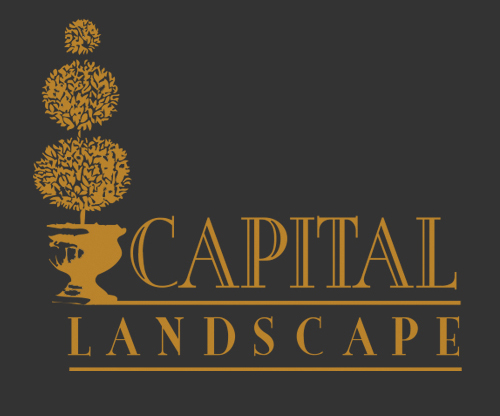 Capital Landscape