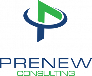 Prenew IT Consulting