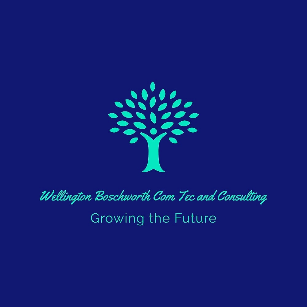 WBCTC1 Wellington Boschworth Commercial Technologies and Consulting