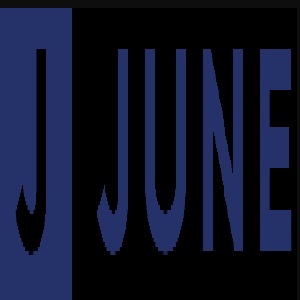 June Co Inc