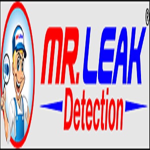 Mr. Leak Detection of Powder Springs