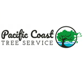 Salinas Tree Service Experts