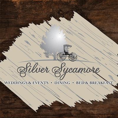 Silver Sycamore